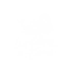 Best Photographer in Azores, Weddings, Elopements & Family - Menu