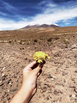 O que fazer no Deserto do Atacama com criança! /o-que-fazer-no-deserto-do-atacama-com-crianca