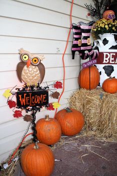 Celebrar o Halloween nos EUA com as crianças. Como foi o Trick or Treats! /celebrar-o-halloween-nos-eua-com-as-criancas-como-foi-o-trick-or-treats