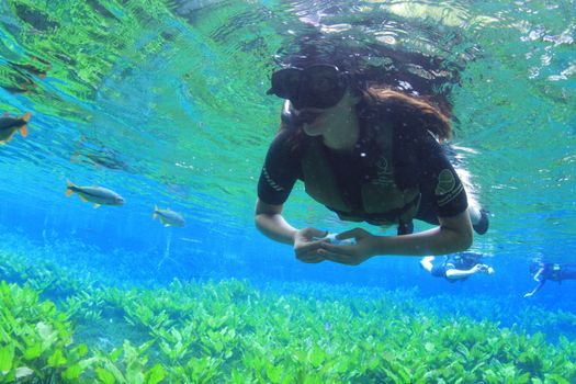 Bonito com crianças: o que você precisa saber! /bonito-com-criancas-o-que-voce-precisa-saber