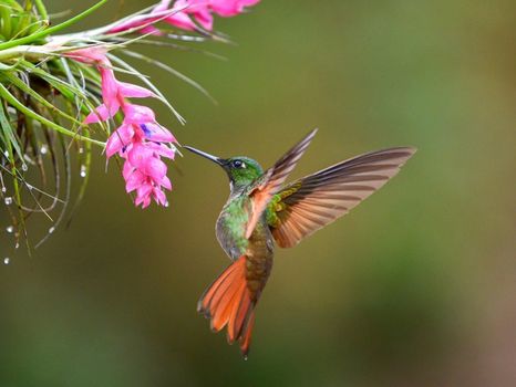 Olhar feminino homenageia mulheres no Riopreto Shopping /olhar-feminino-homenageia-mulheres-no-riopreto-shopping