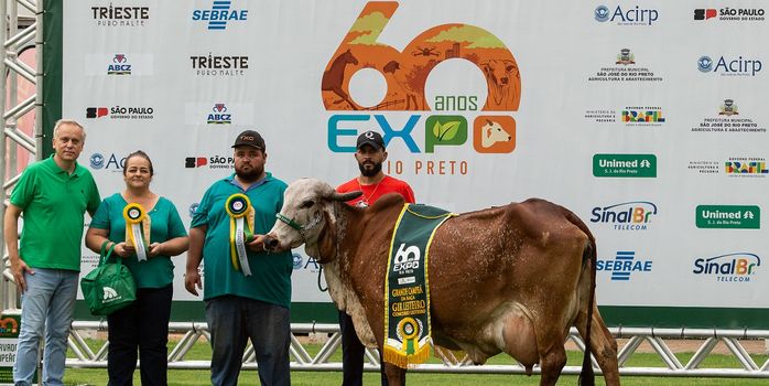Gir Leiteiro e Girolando detém 80% da produção de leite no País /gir-leiteiro-e-girolando-detem-80-da-producao-de-leite-no-pais