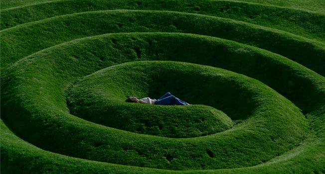 Indica vs Sativa - Efeitos e Diferenças /indica-vs-sativa-efeitos-e-diferencas