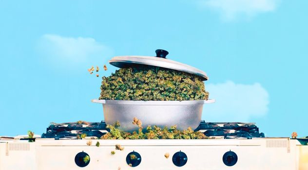 Larica: Por que a maconha dá fome? /larica-por-que-a-maconha-da-fome