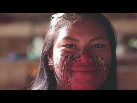 Floresta 2023 /floresta-2023