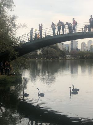 Tours July 2019 /tours-july-2019