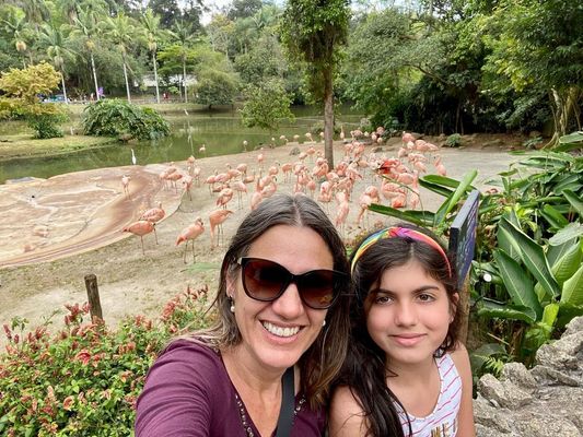 Tours November 2022 /tours-november-2022