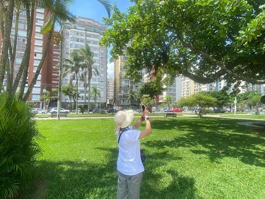 Tours February 2024 /tours-february-2024