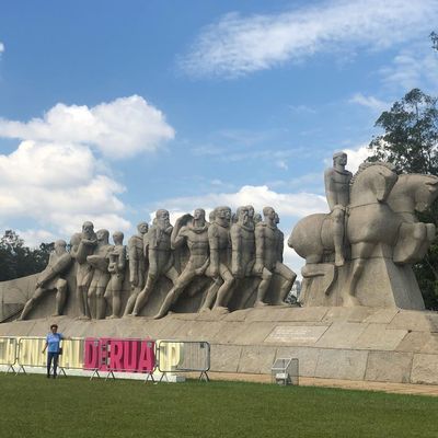 Ibirapuera Park /ibirapuera-park