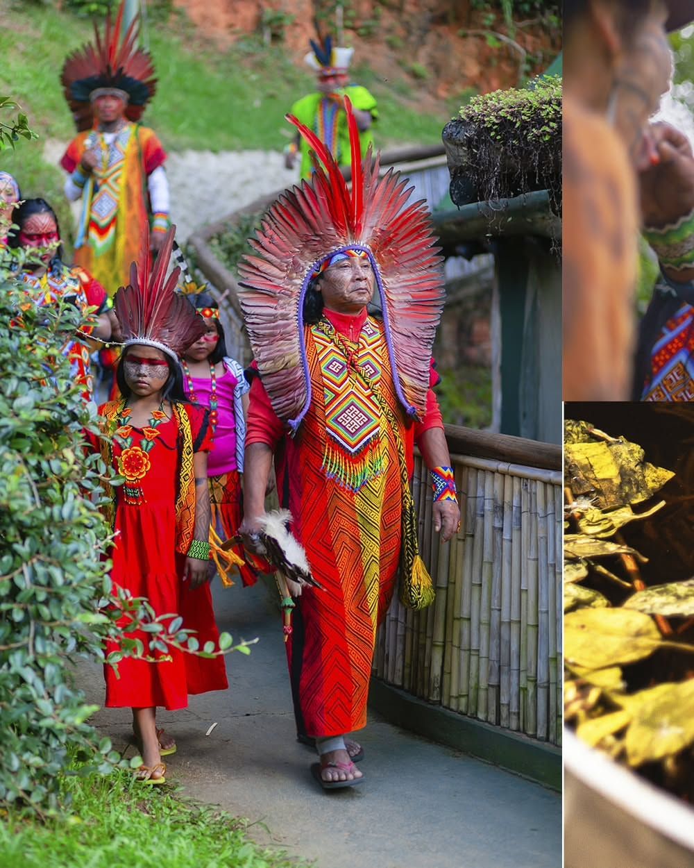 Foto e vídeo de ensaios, cobertura, documentários e muito mais... - 14