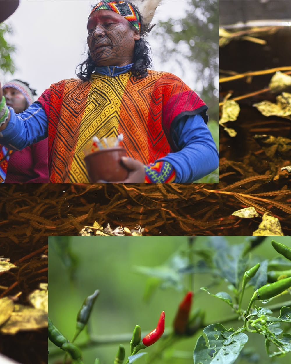 Foto e vídeo de ensaios, cobertura, documentários e muito mais... - 15