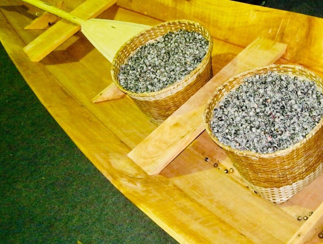 O que fazer em Macapá: a capital do meio do mundo - 51