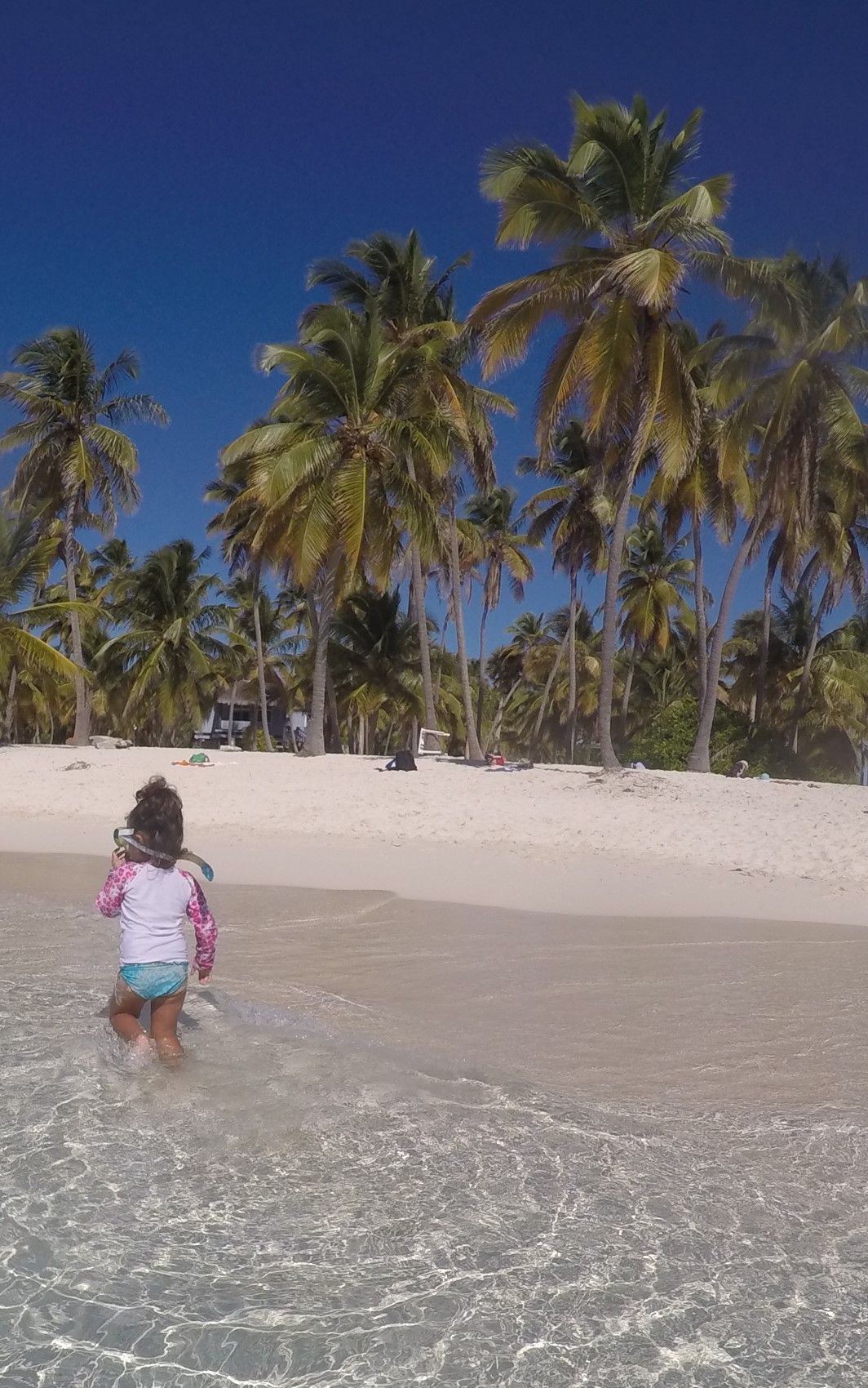 Isla Saona: como é esse passeio oferecido em Punta Cana - 17