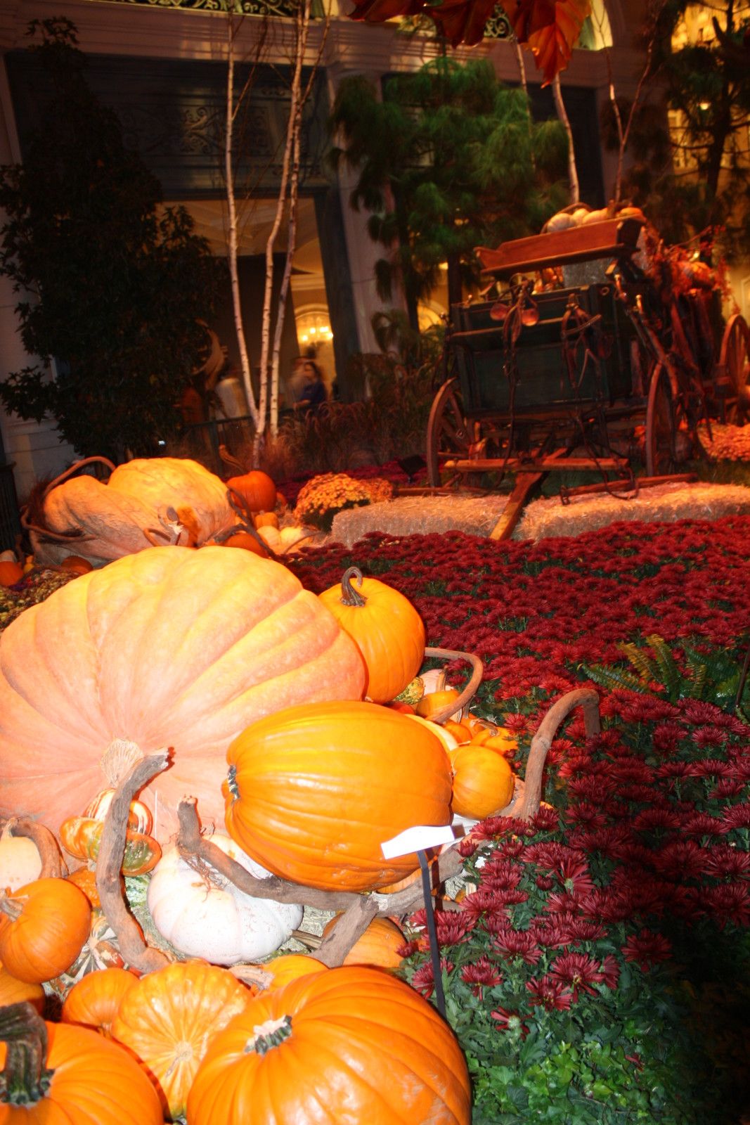 Celebrar o Halloween nos EUA com as crianças. Como foi o Trick or Treats! - 9