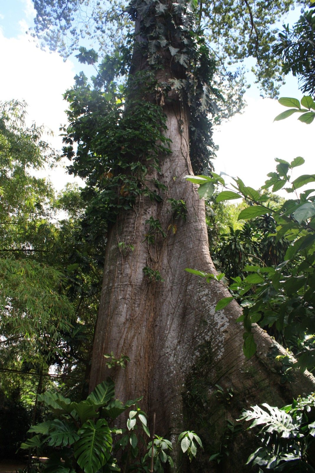O que fazer em Belém do Pará. Roteiro com crianças! - 20