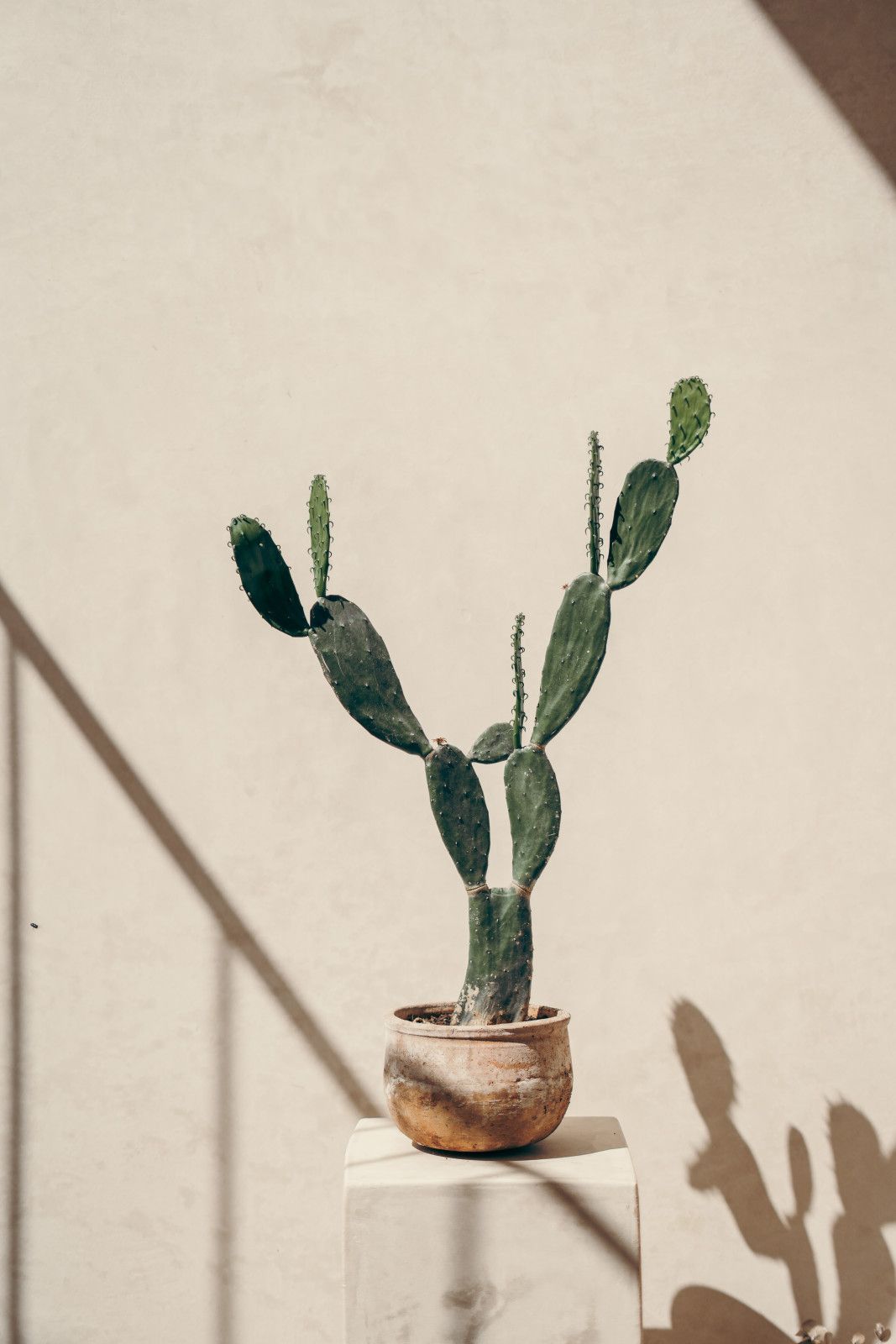 Arquitetura moderna em Tulum - 3