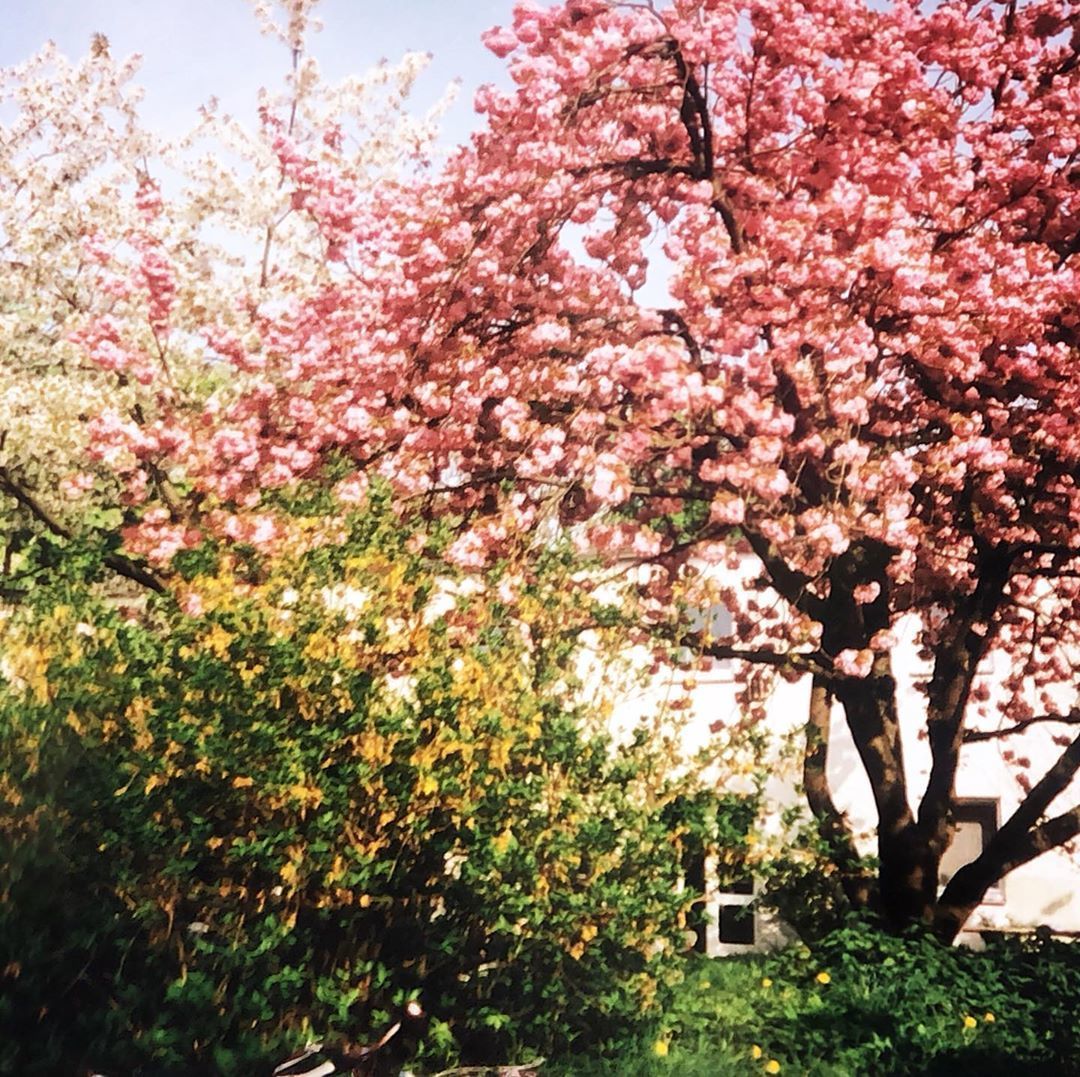 Tour Virtual de Munique - Alemanha - 9