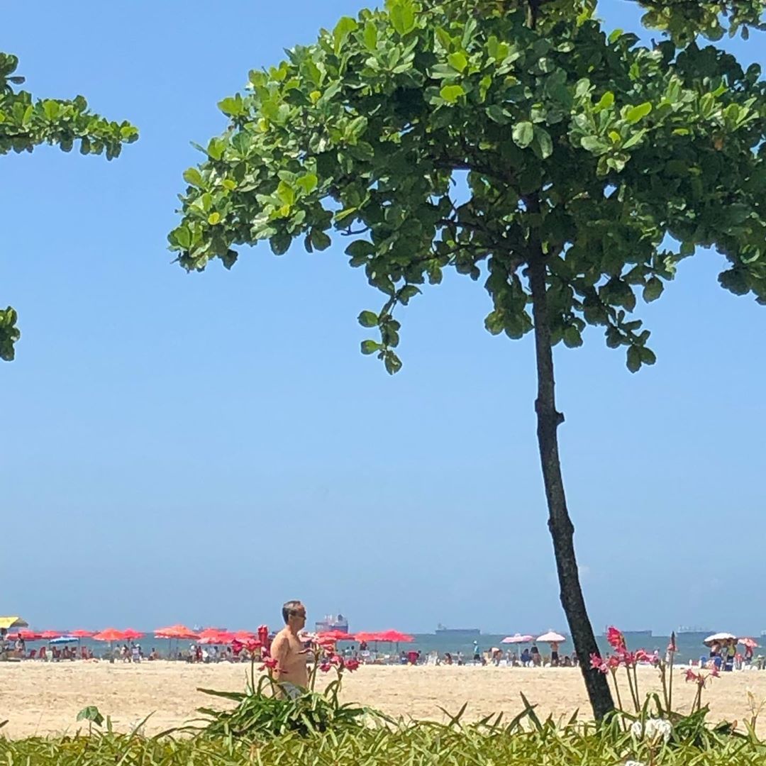 Beachtour - São Vicente, Santos and Guarujá - 26