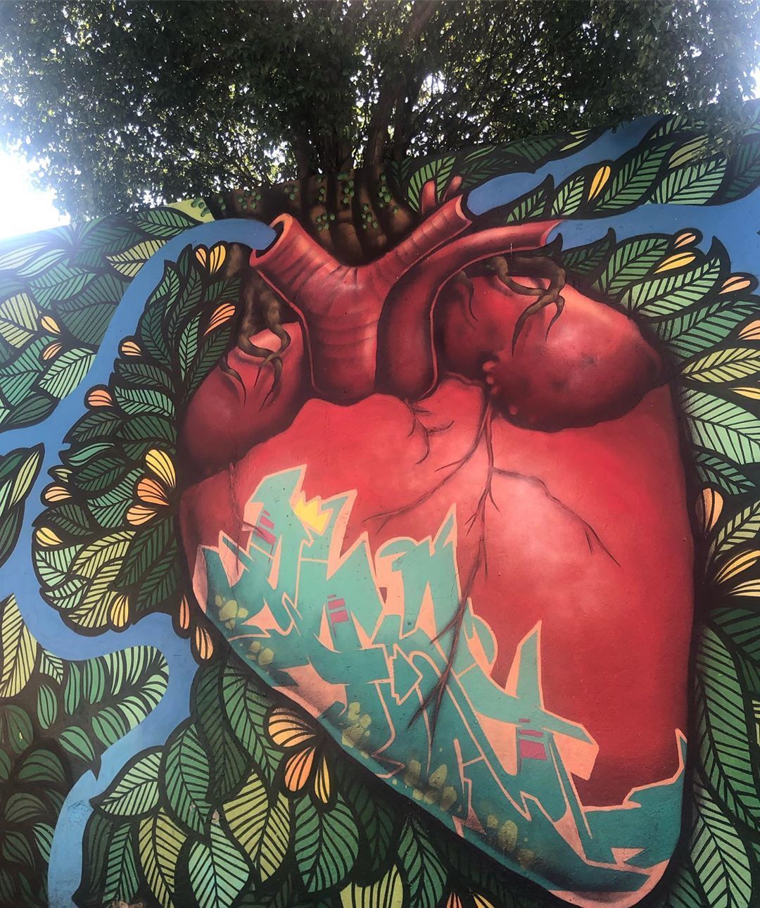 Tours December 2019 - 46