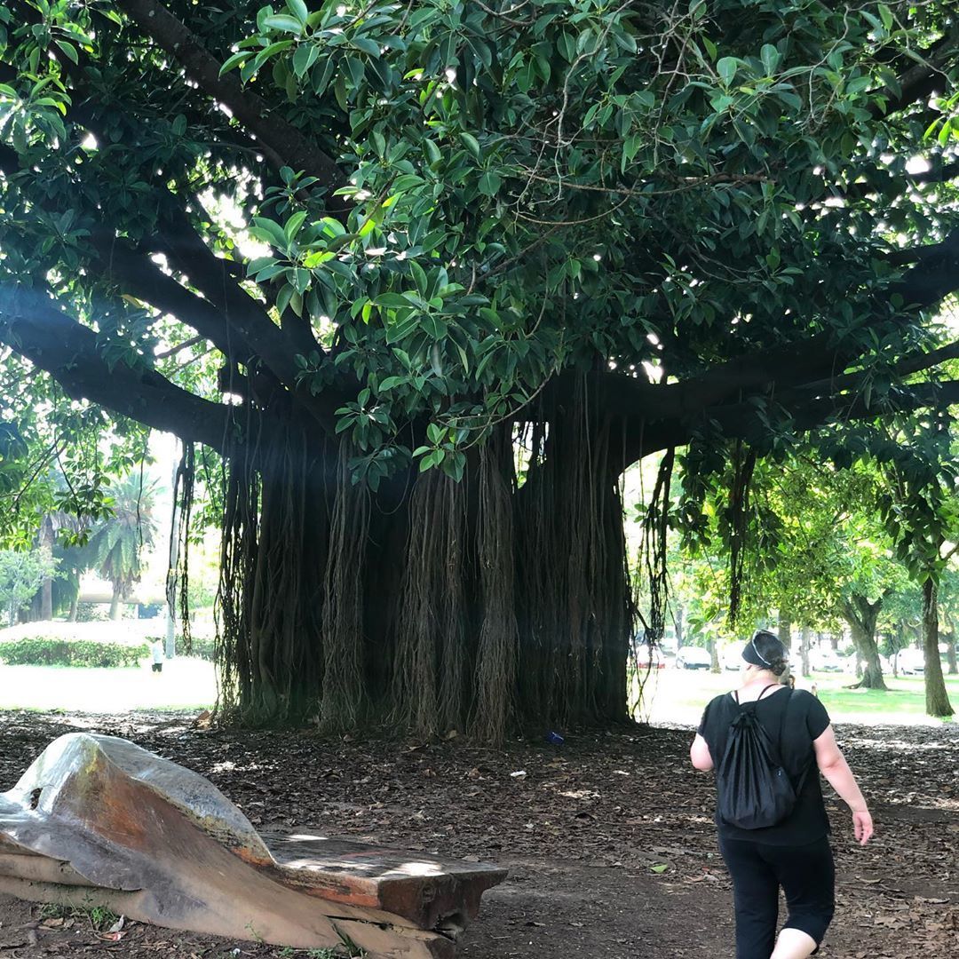 Tours January 2020 - 31