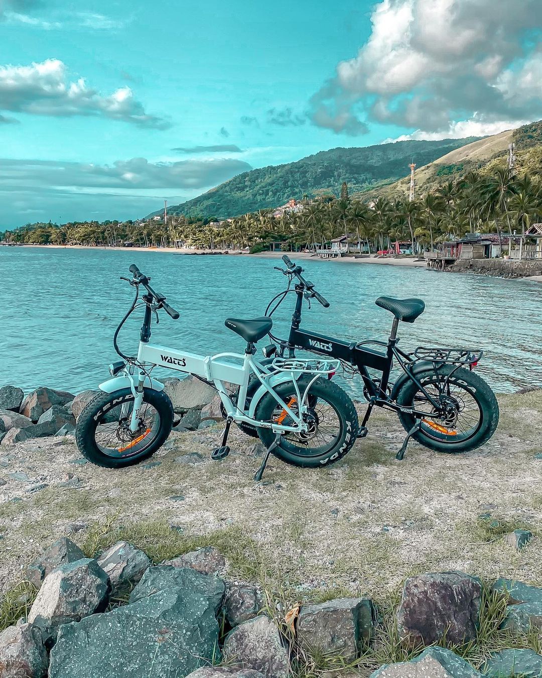 Adorando a idéia de ter uma e-bike - 3