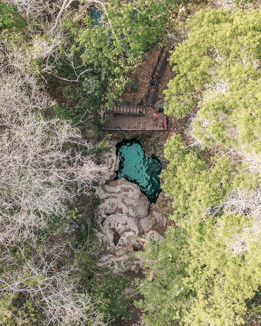 Boca da Onça - Bodoquena - 4