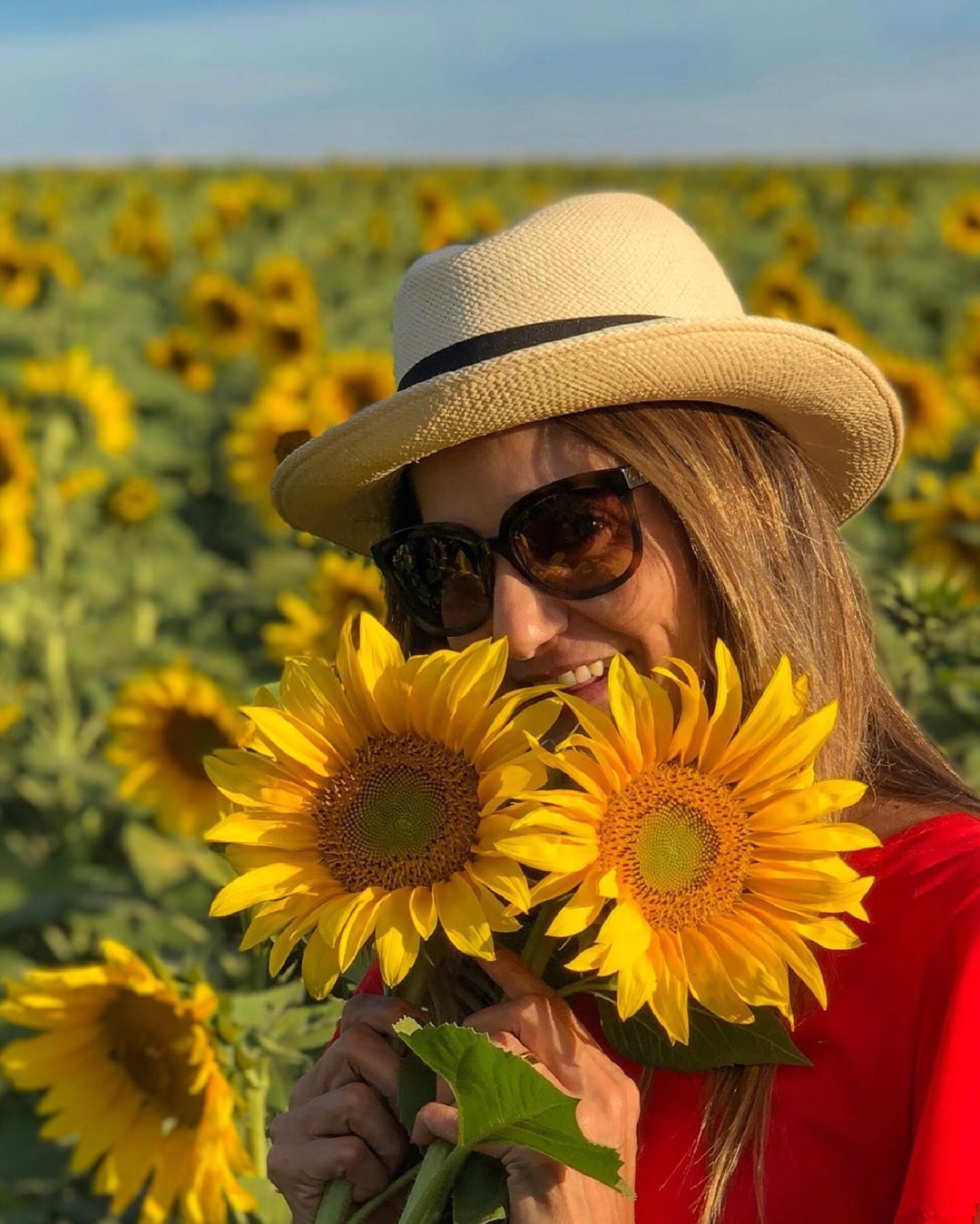 Campos de Grassóis - 3