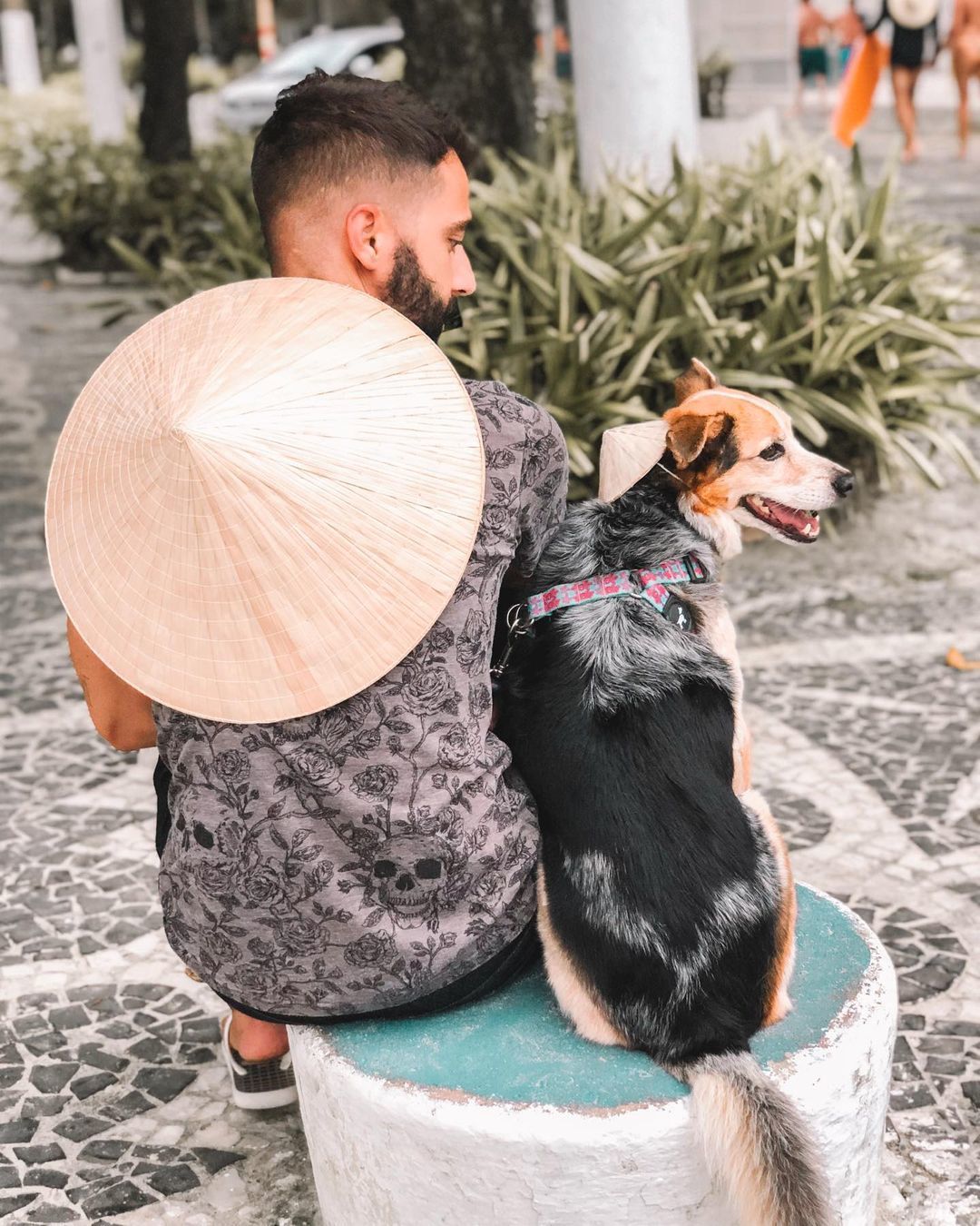 Vai viajar de carro com seu pet? Confira estas 7 dicas - 2