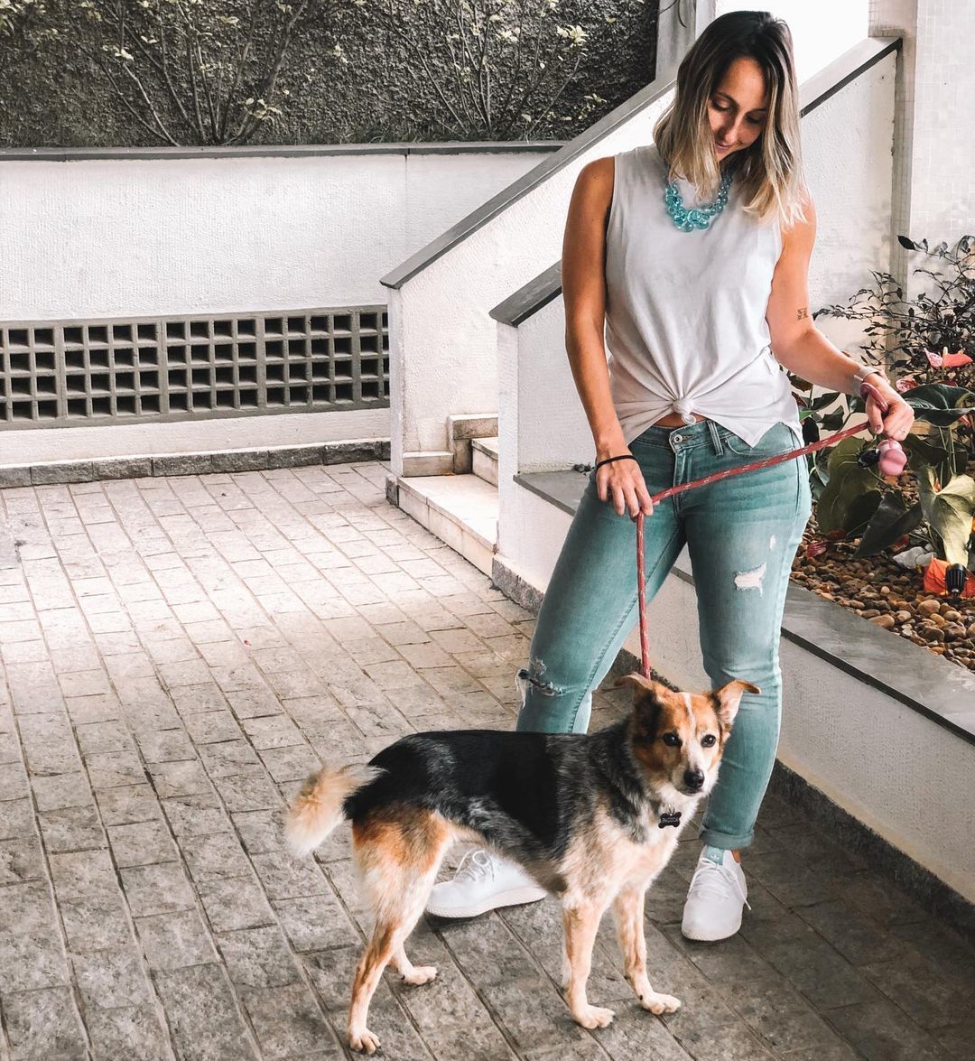 Viagem de avião com seu pet: como fazer? - 3