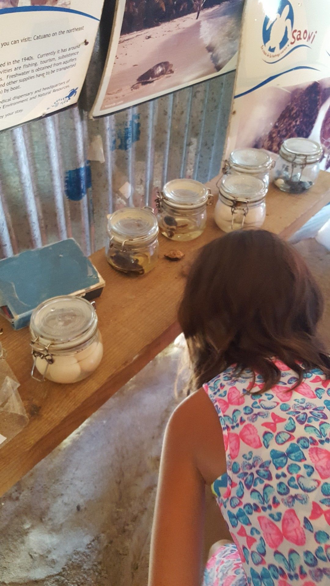 Isla Saona: como é esse passeio oferecido em Punta Cana - 21