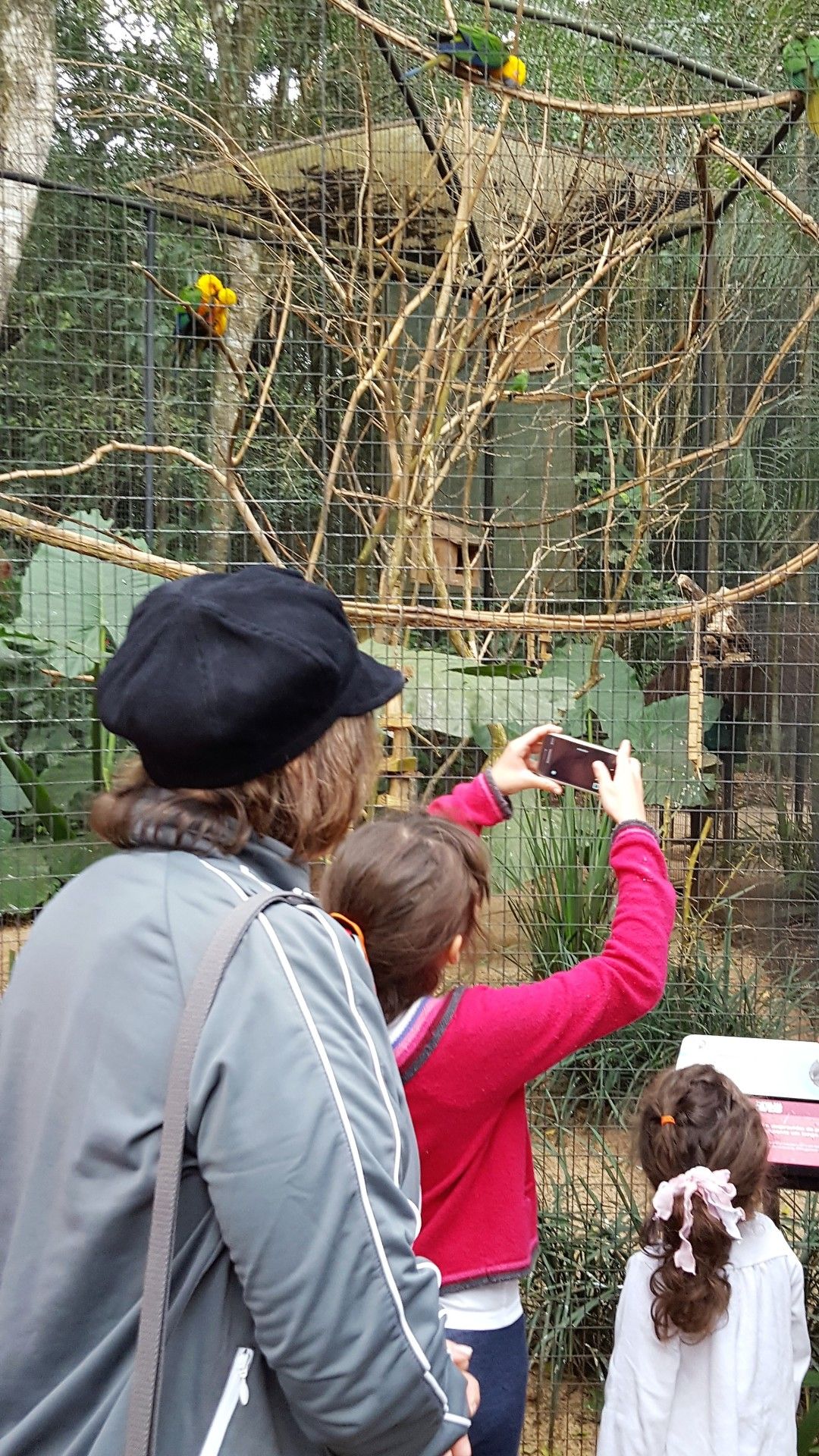 O que fazer em Foz do Iguaçu: uma viagem com os avós! - 17