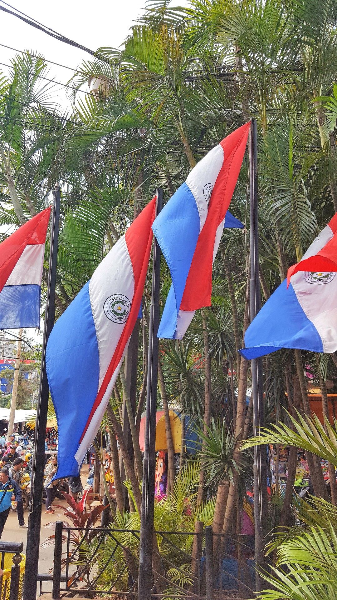 O que fazer em Foz do Iguaçu: uma viagem com os avós! - 55