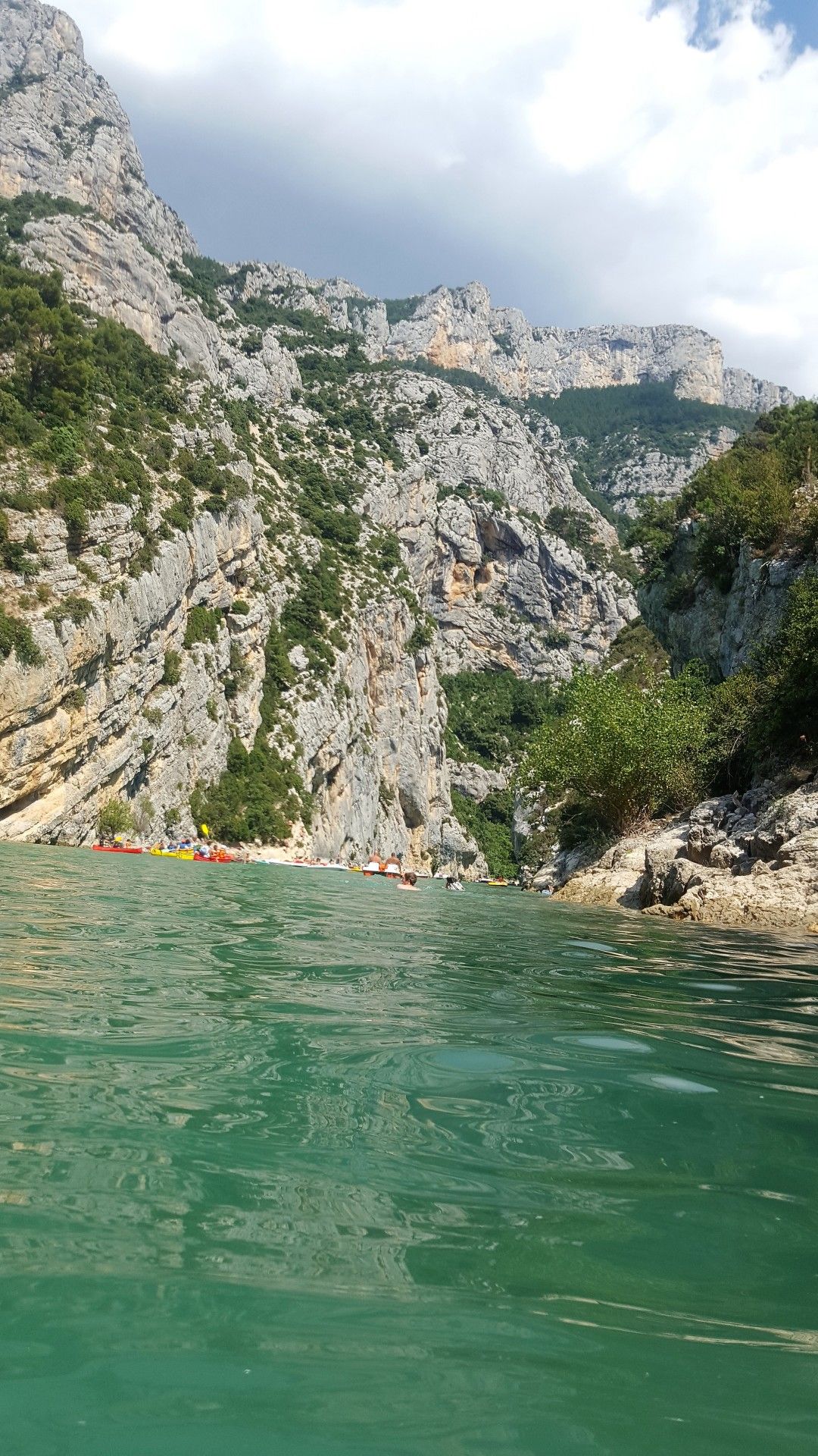 Provence: como visitar os campos de lavanda  com crianças - 51