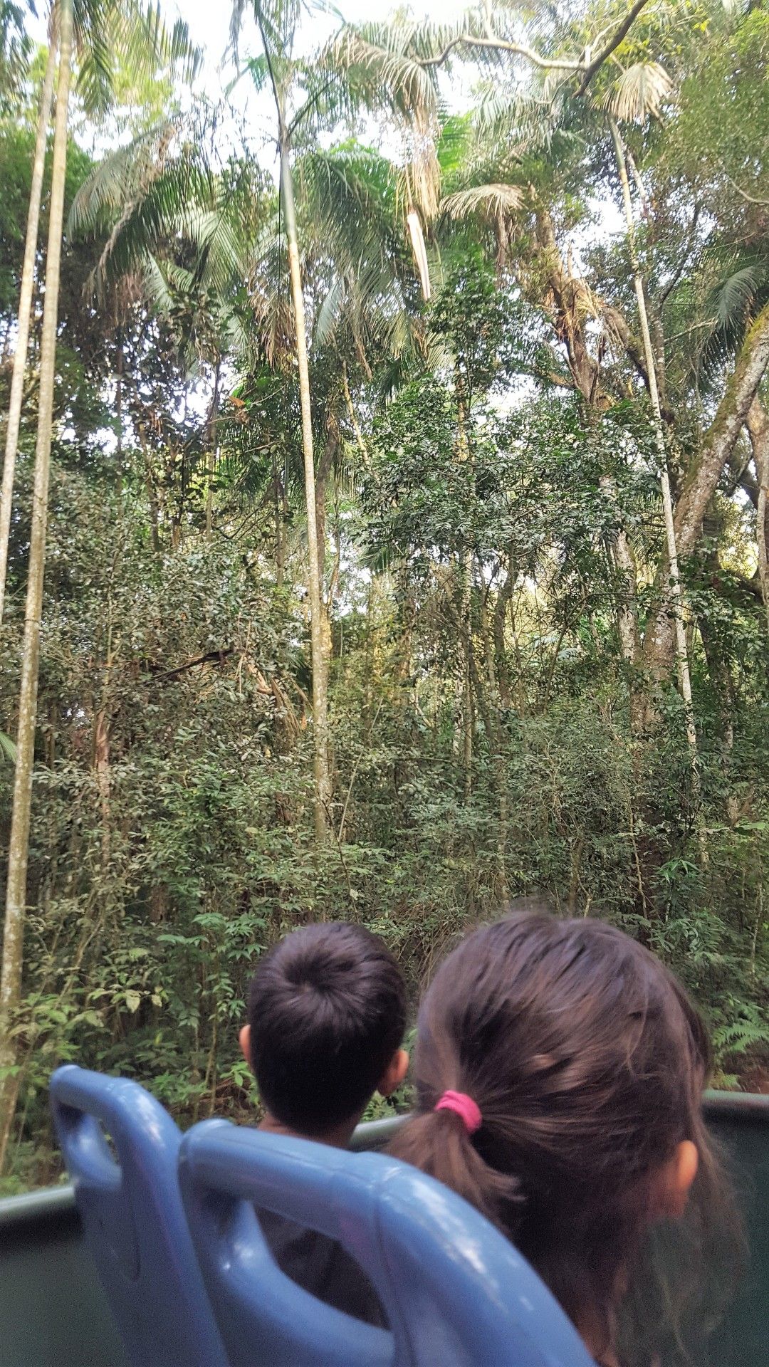 Como é visitar as Cataratas do Iguaçu do lado brasileiro - 17