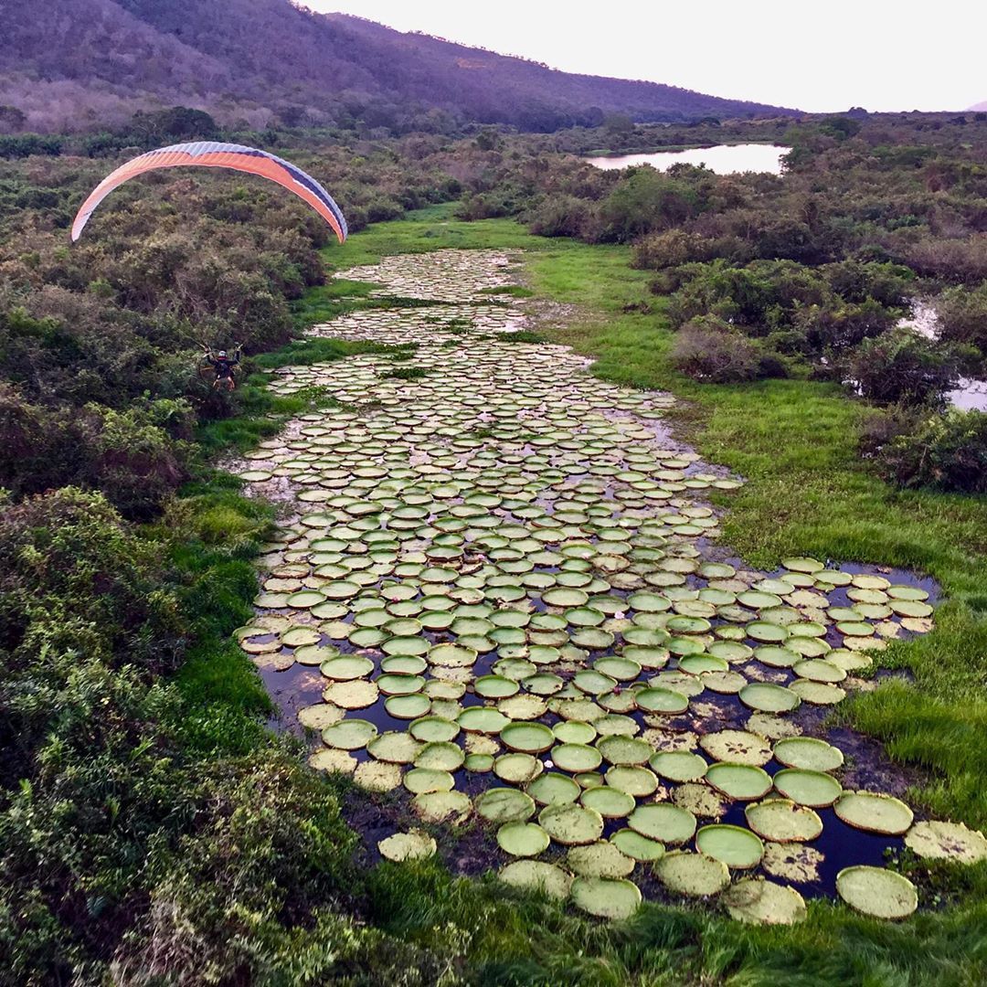 Expedição paramotor Asas do Pantanal - 9