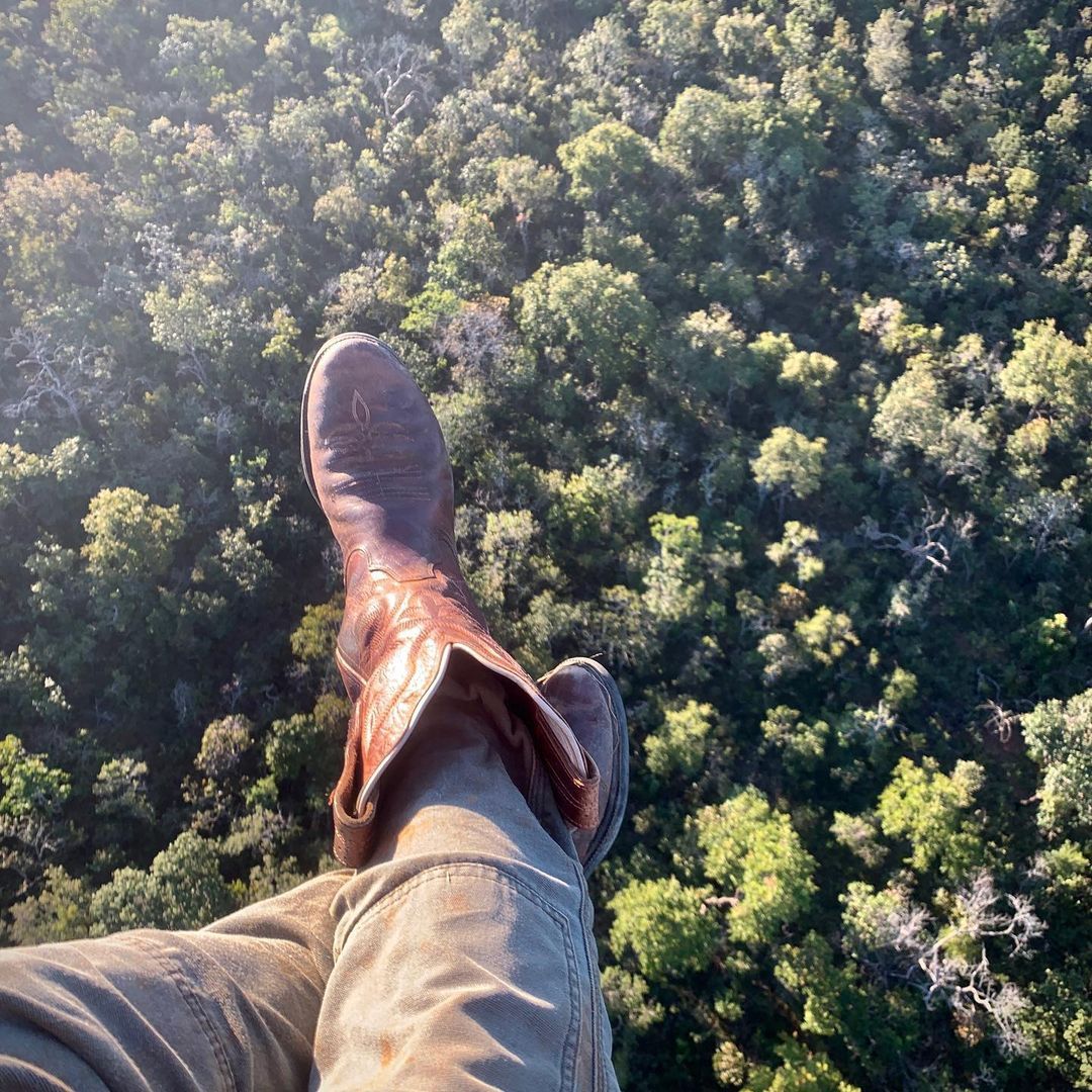 Magnifico Parque da Emas - 3