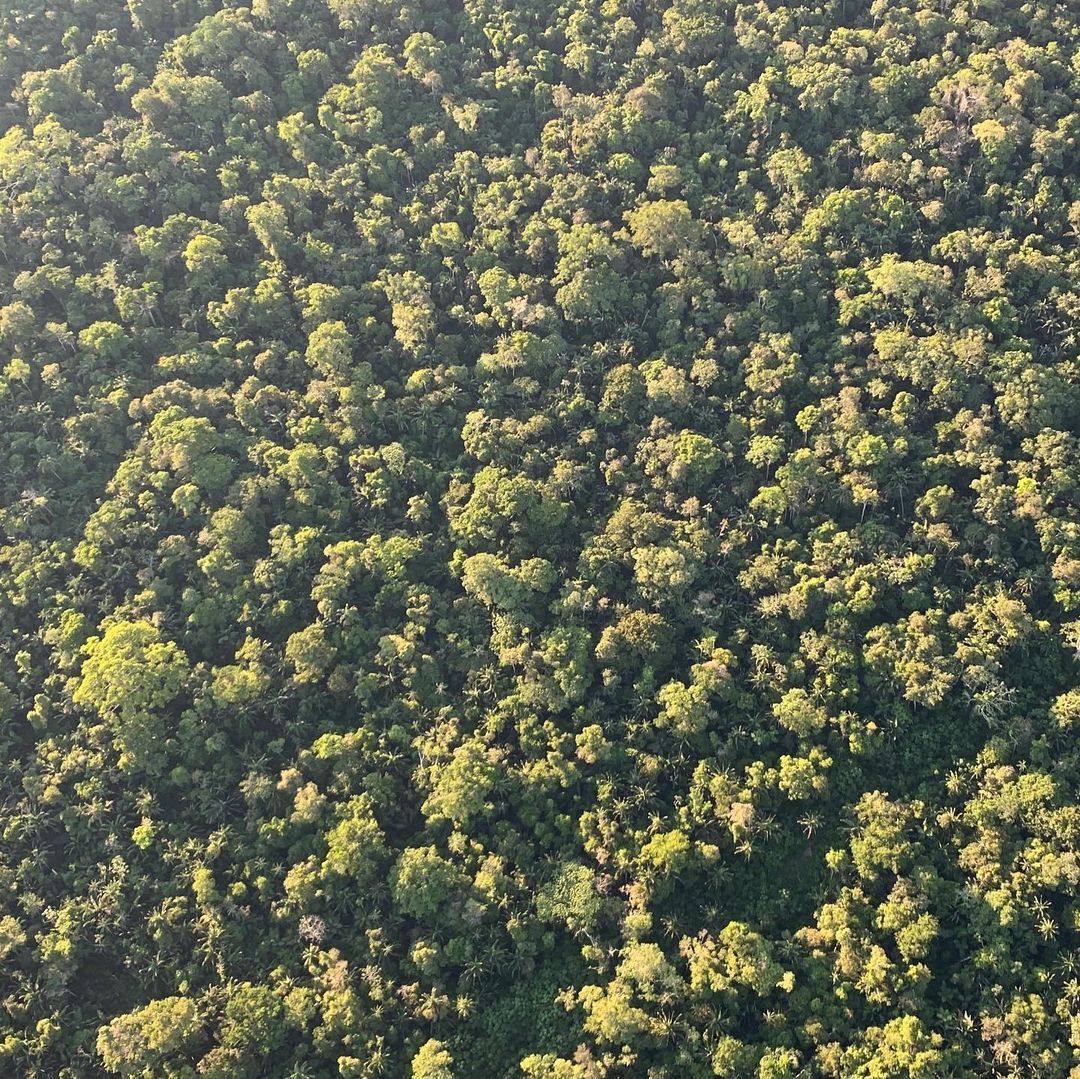 Beautiful SERRA DO DIVISOR, Acre, on the boarder Brazil - Peru - 4