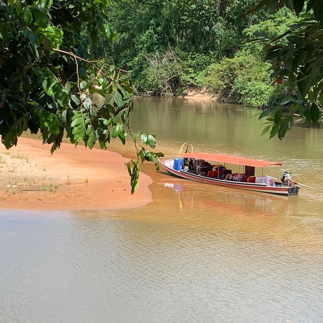 Beautiful SERRA DO DIVISOR, Acre, on the boarder Brazil - Peru - 5