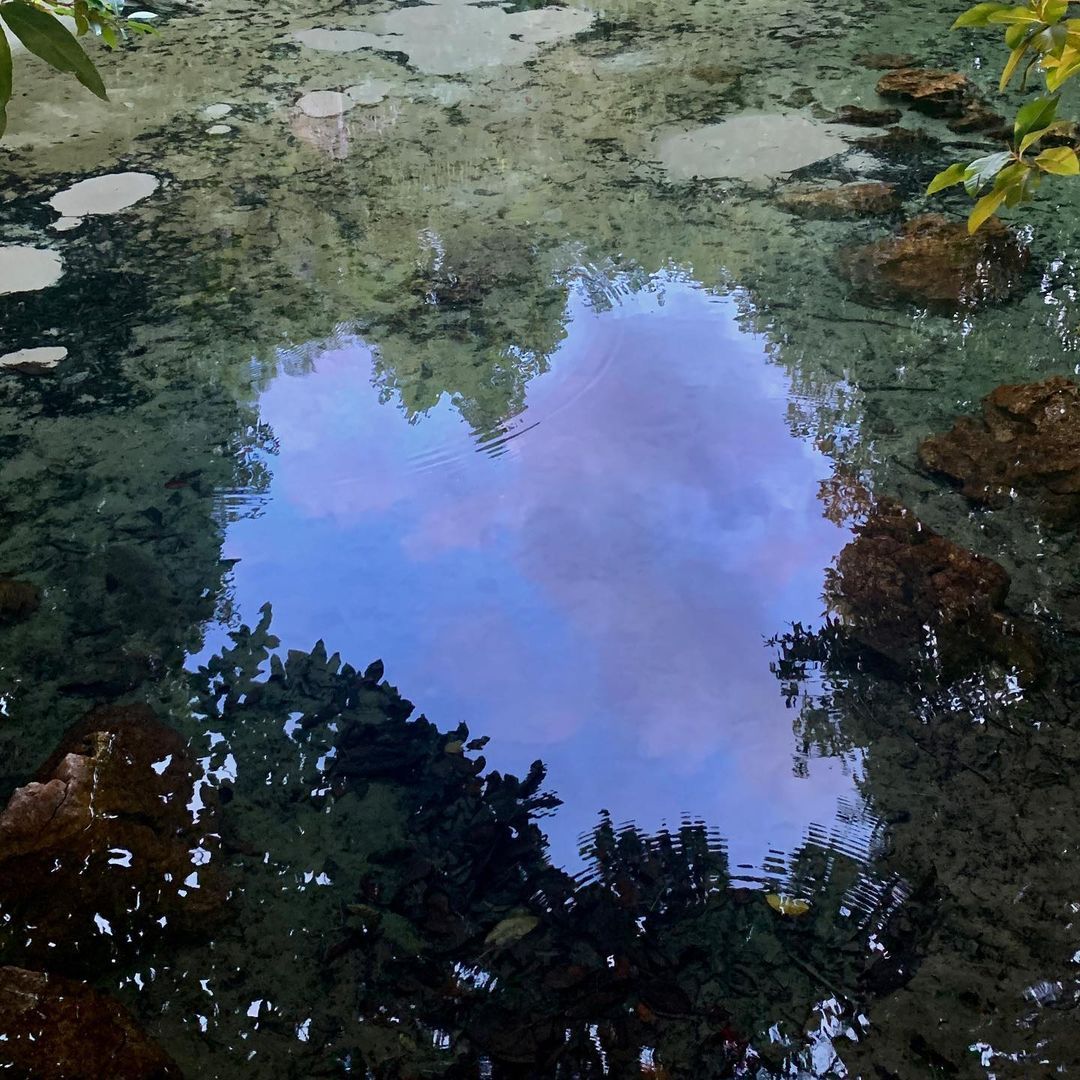 Live and learn in the XINGU, Mato Grosso, Brazil - 7