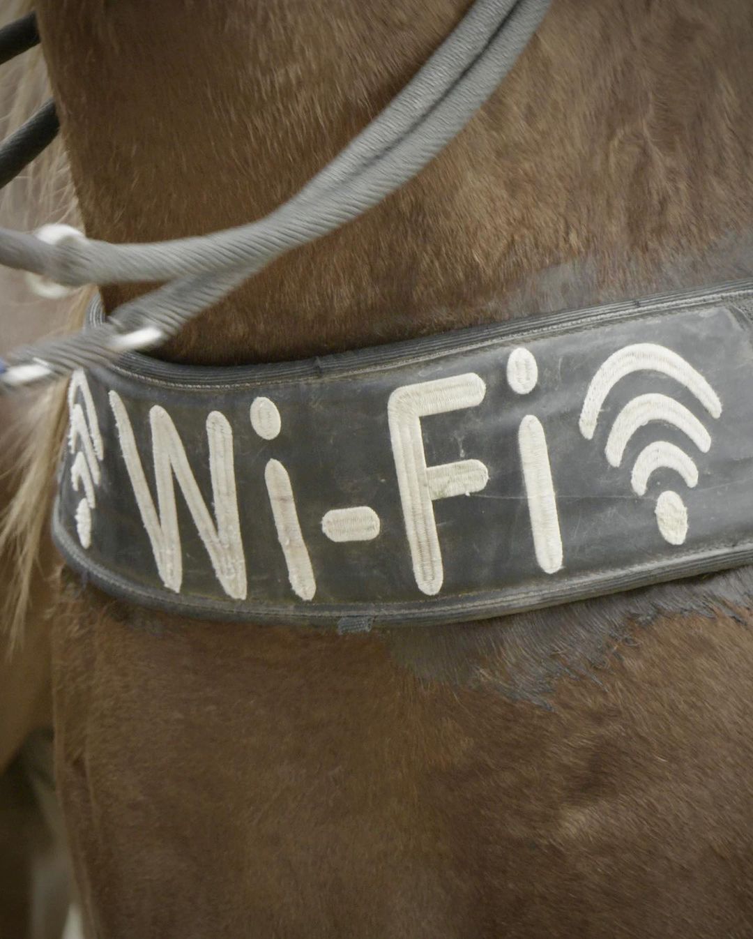 Some Wi-Fi does come in handy during my long expeditions - 2