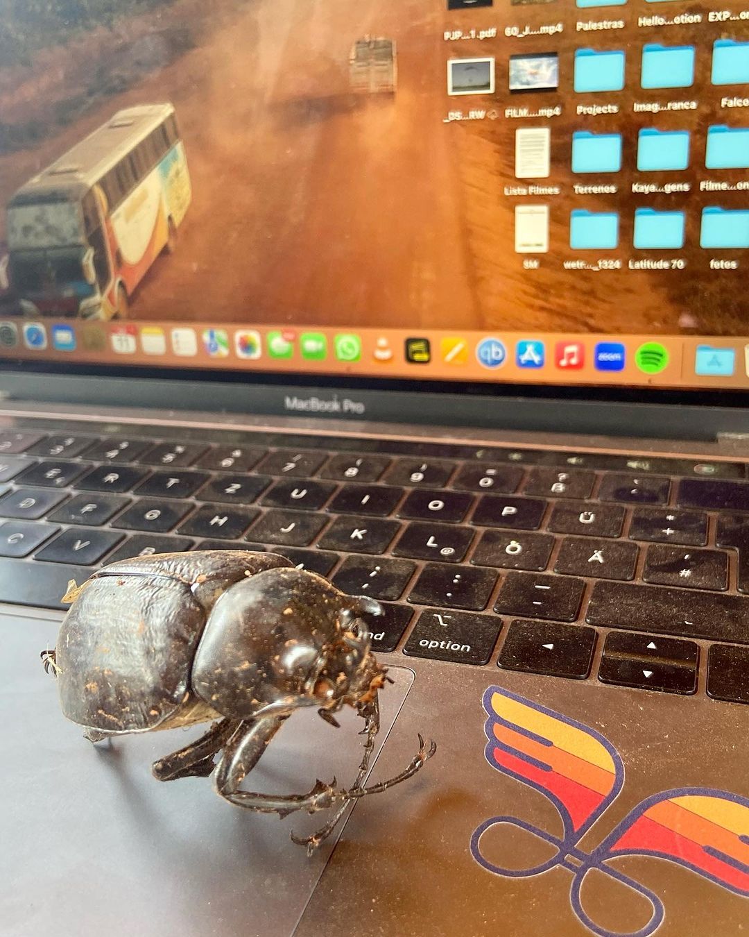 Filming along the infamous TRANSAMAZONICA Highway - 9