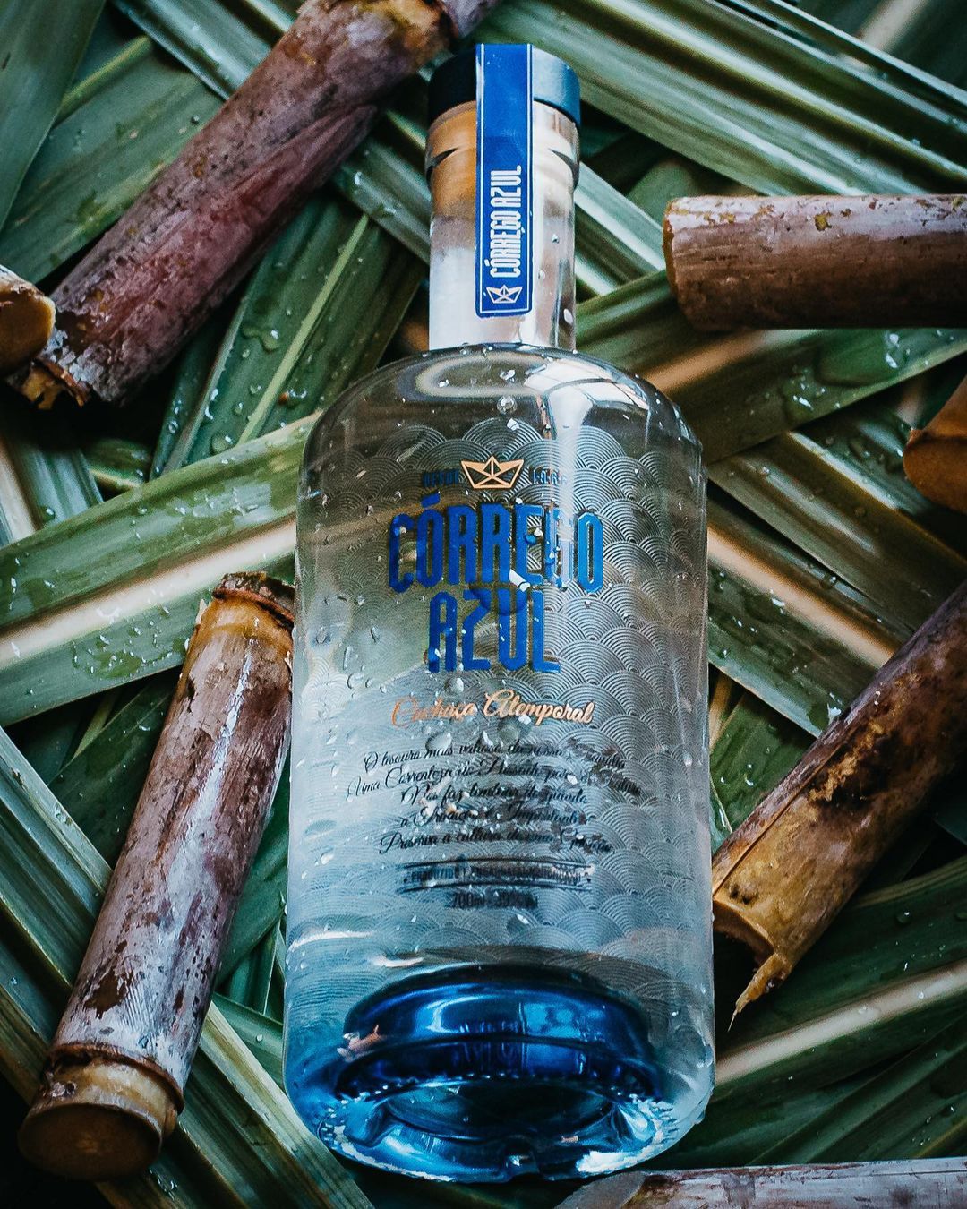 Suave e Equilibrada - 1