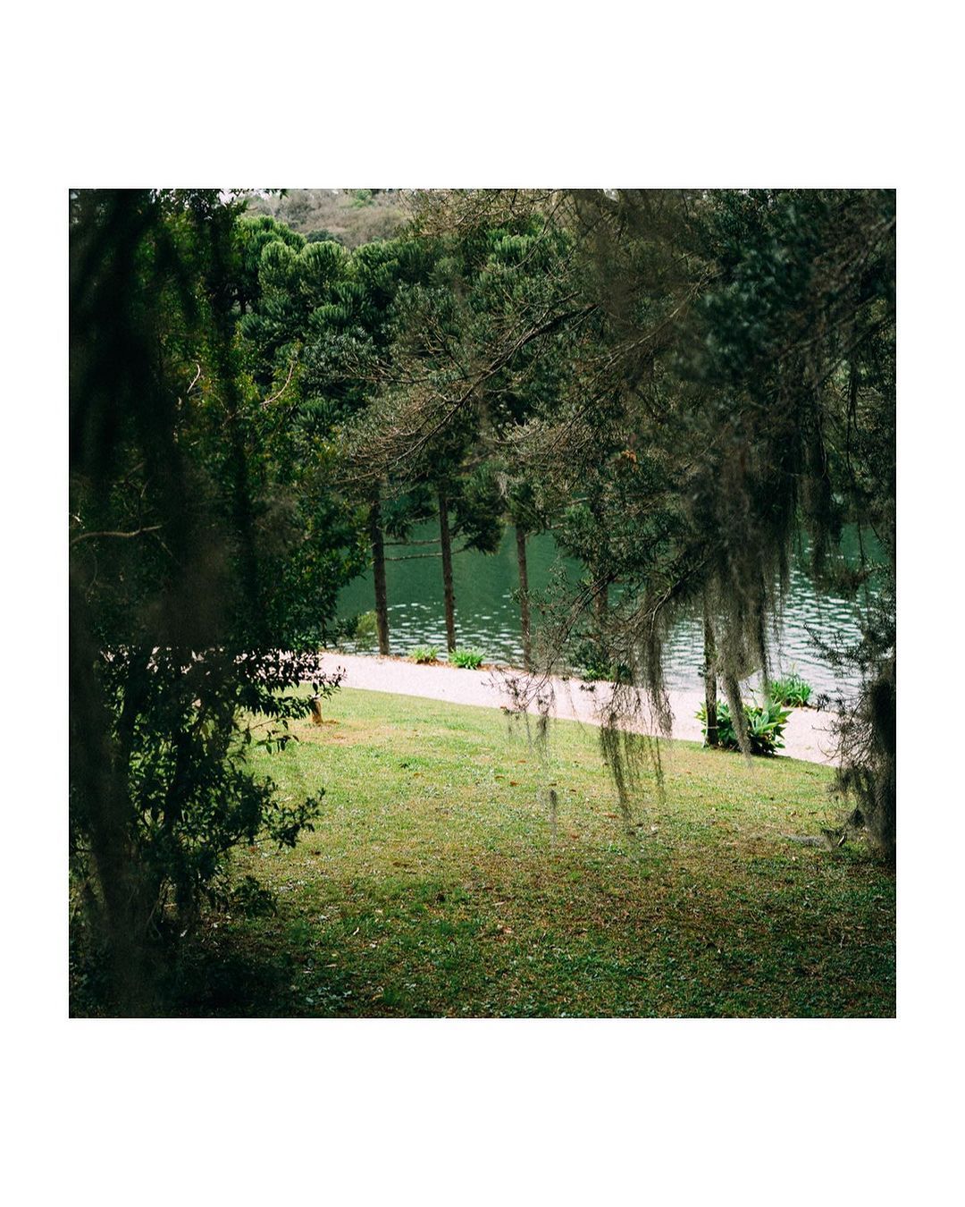 Casamento na floresta - 3