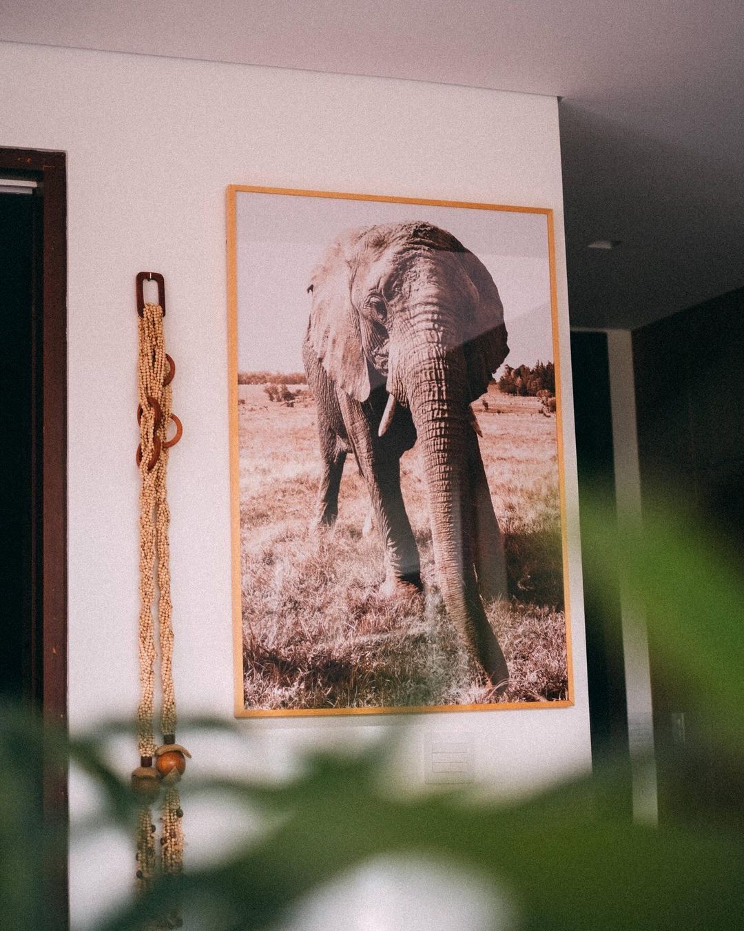 Malu Saga Fotografia - 2