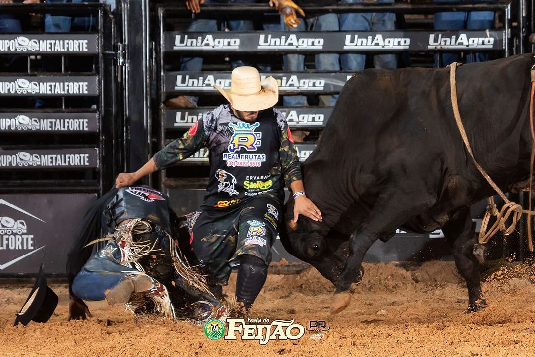 Festa do Feijão - 3