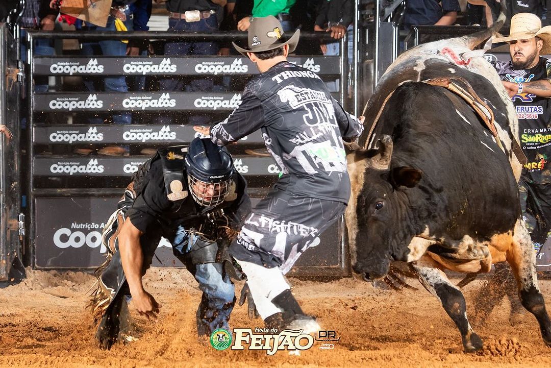 Festa do Feijão - 4