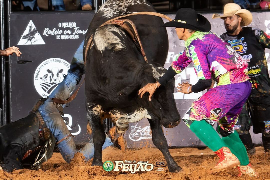 Festa do Feijão - 5