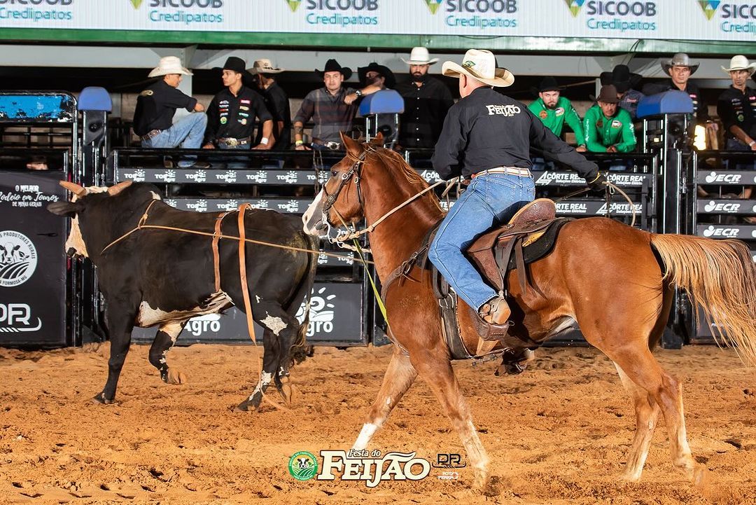 Festa do Feijão - 7