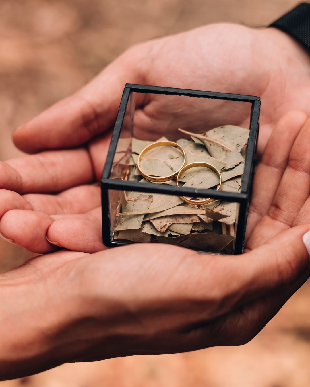 Elopement Wedding no Bosque dos Eucaliptos- Niterói - Cópia - 4