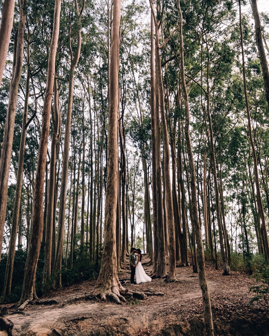 Elopement Wedding no Bosque dos Eucaliptos- Niterói - Cópia - 5